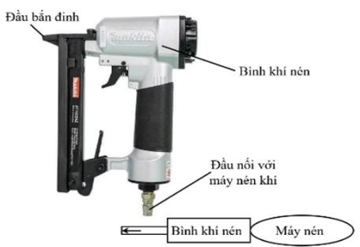 Hình câu 22