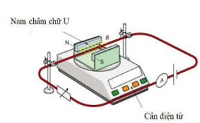 Hình câu 21
