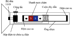 Hình câu 22