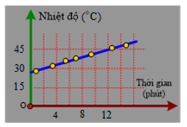 Hình câu 8