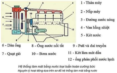 Hình câu 16