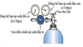 Hình câu 17
