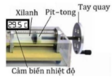 Hình câu 21