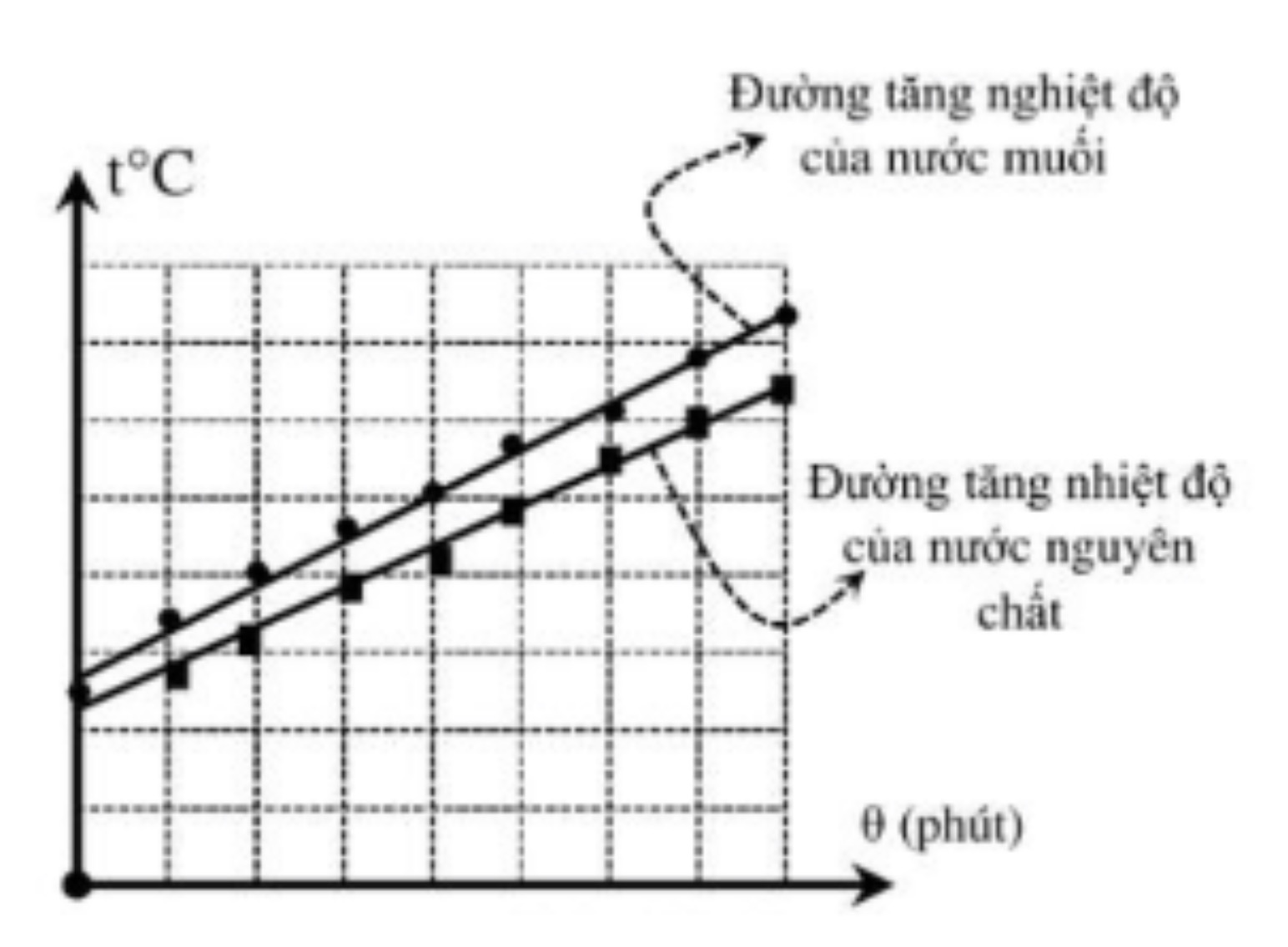 Hình câu 19