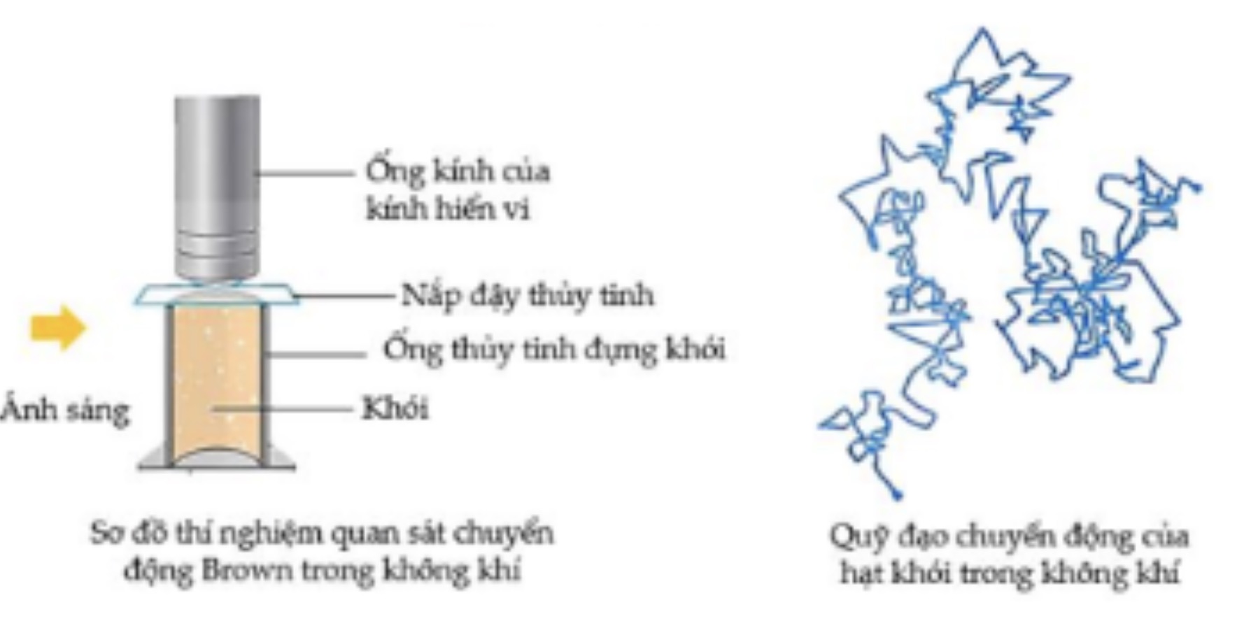 Hình câu 21