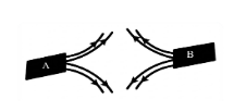 Hình câu 20