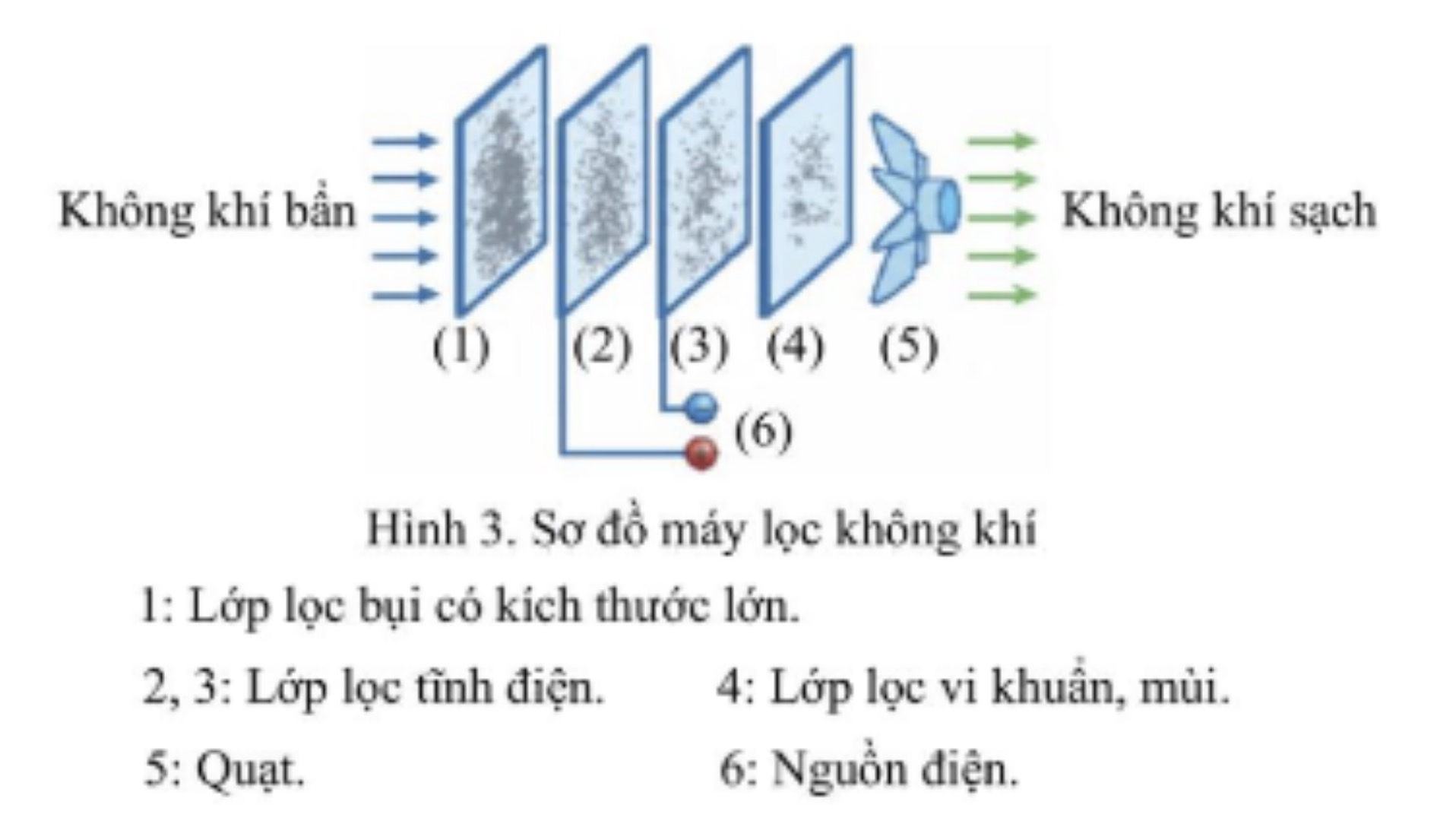 Hình câu 21