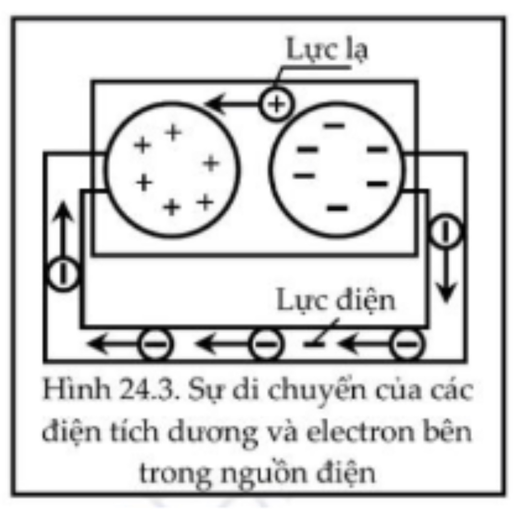 Hình câu 6