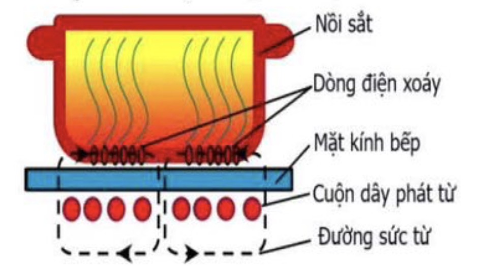 Hình câu 21