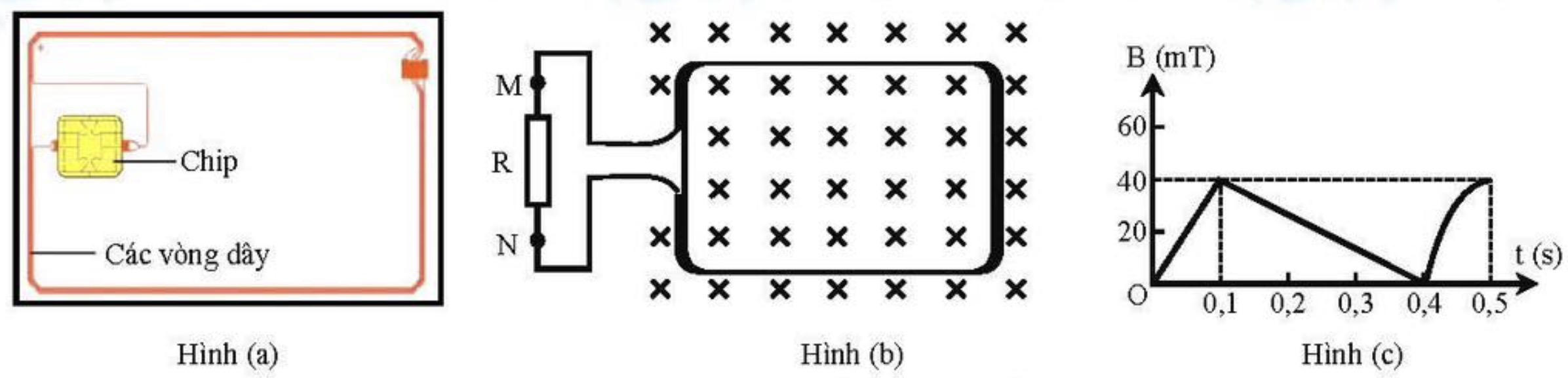 Hình câu 23