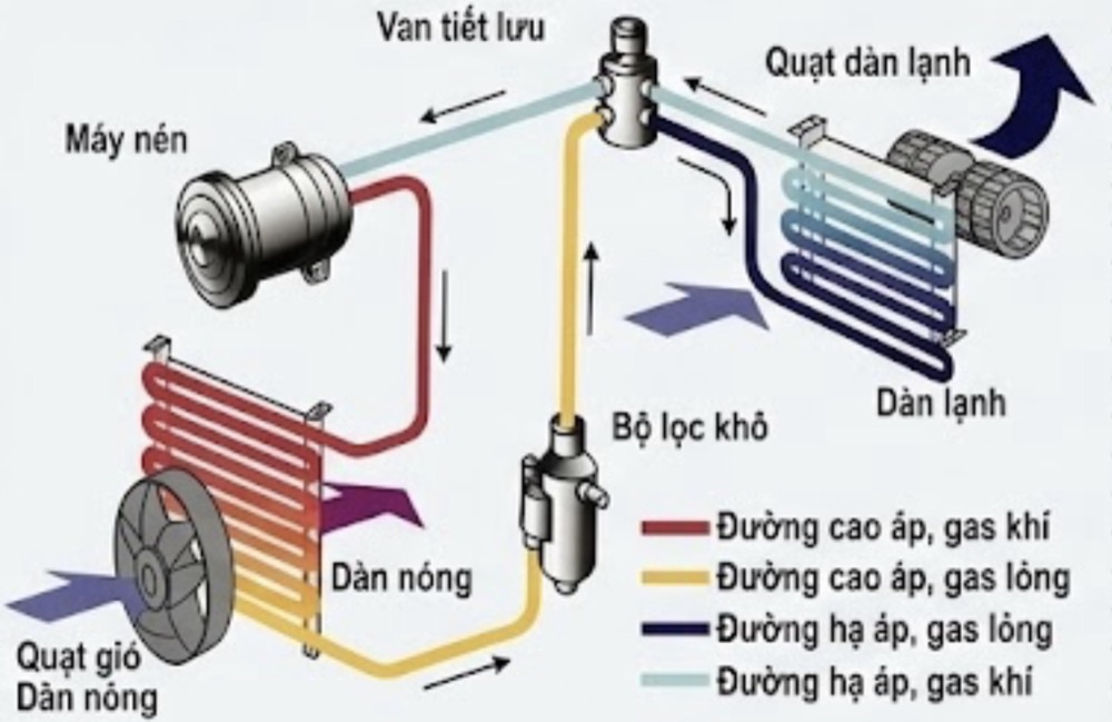 Hình câu 28