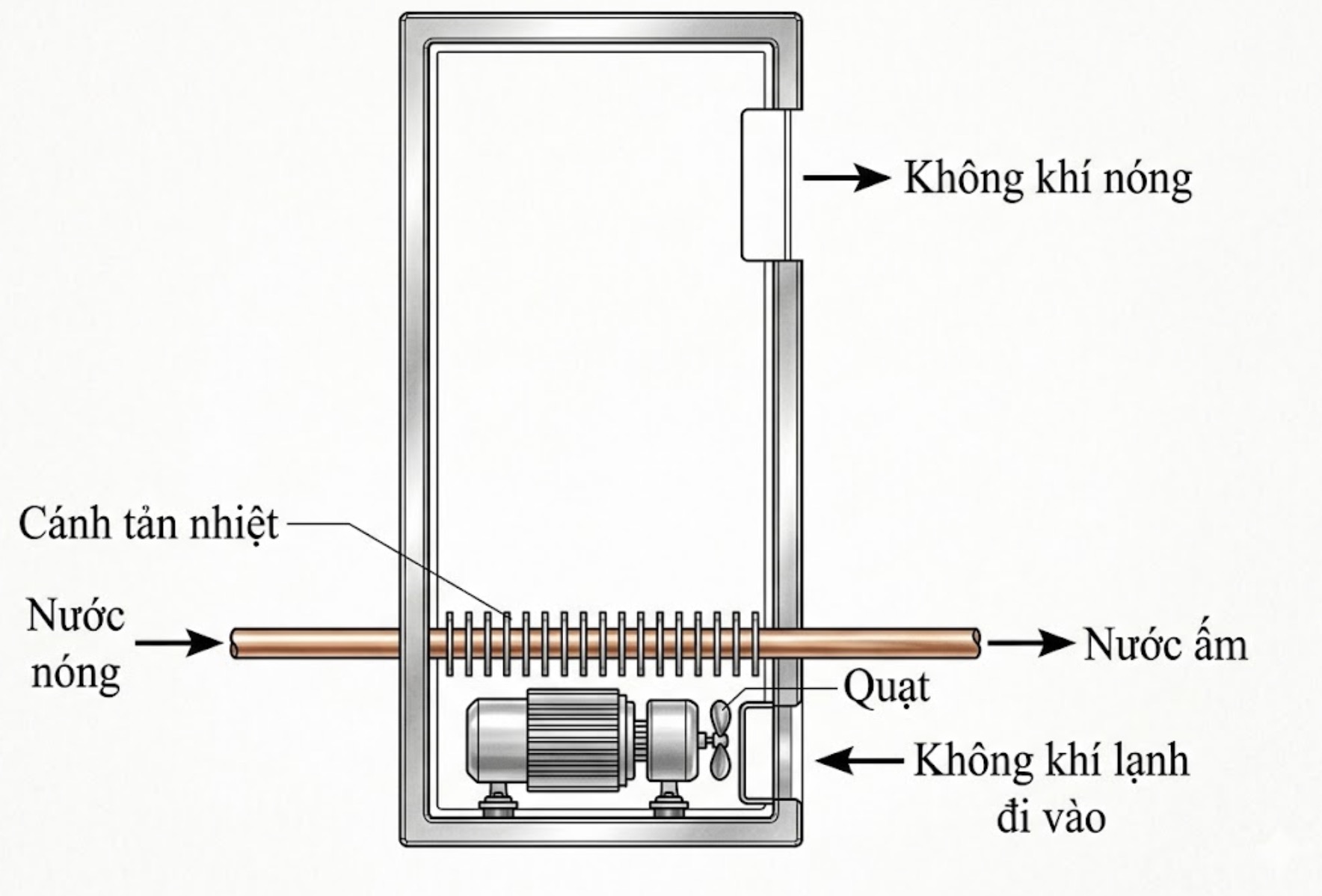 Hình câu 28