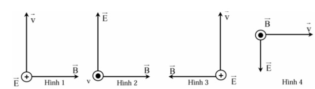 Hình câu 12