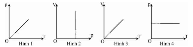 Hình câu 3
