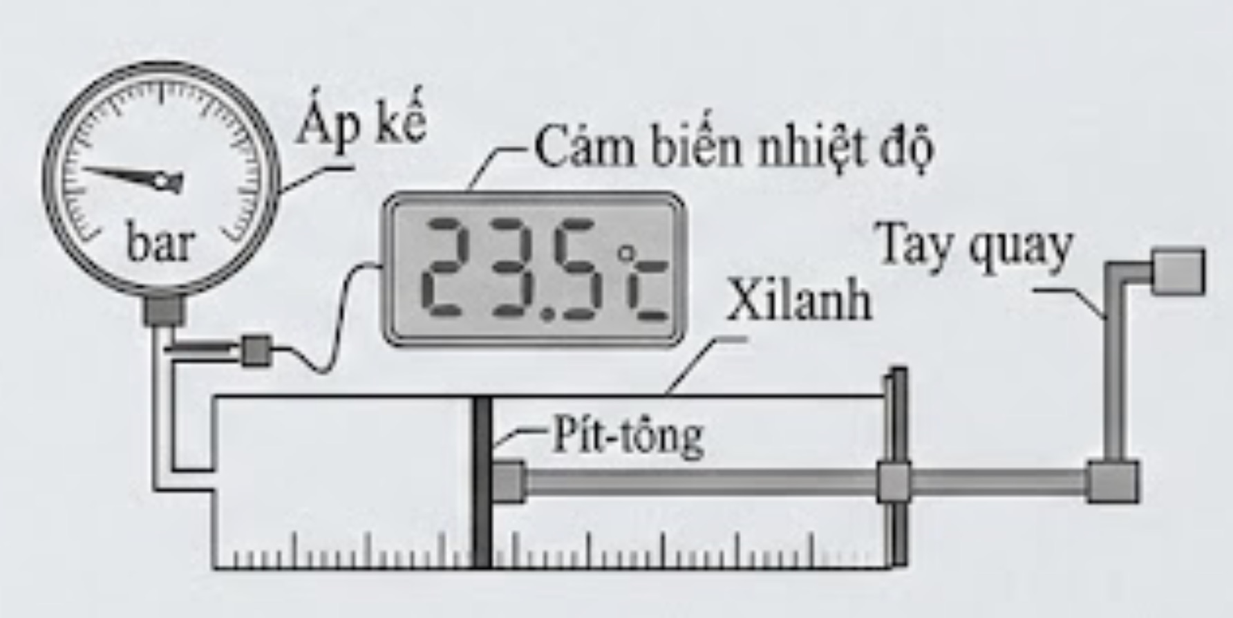 Hình câu 8