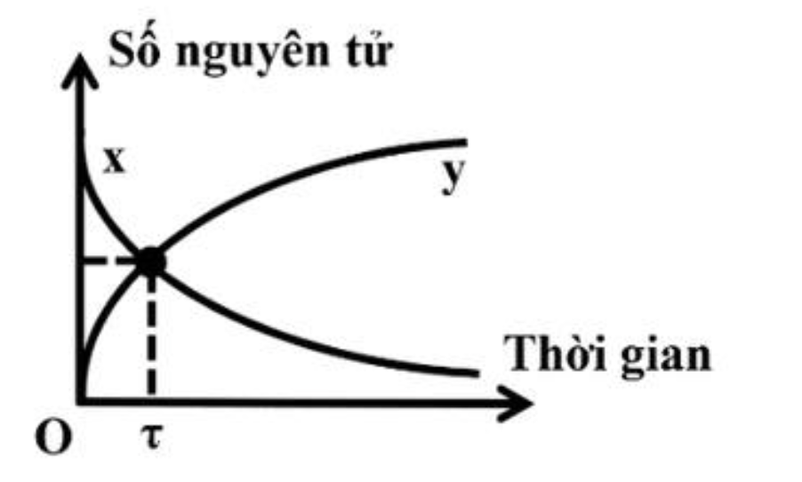 Hình câu 18