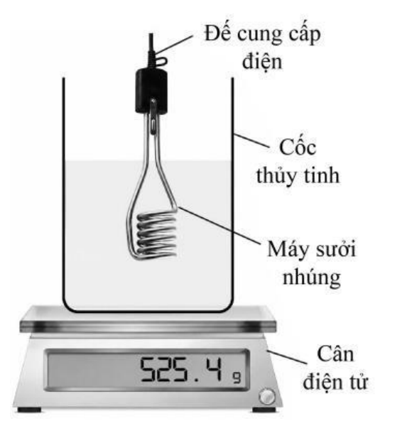 Hình câu 22