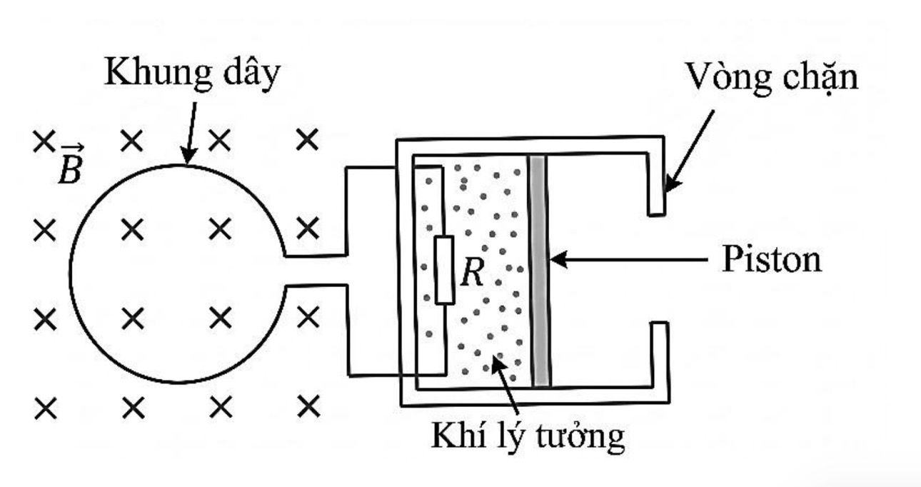 Hình câu 19