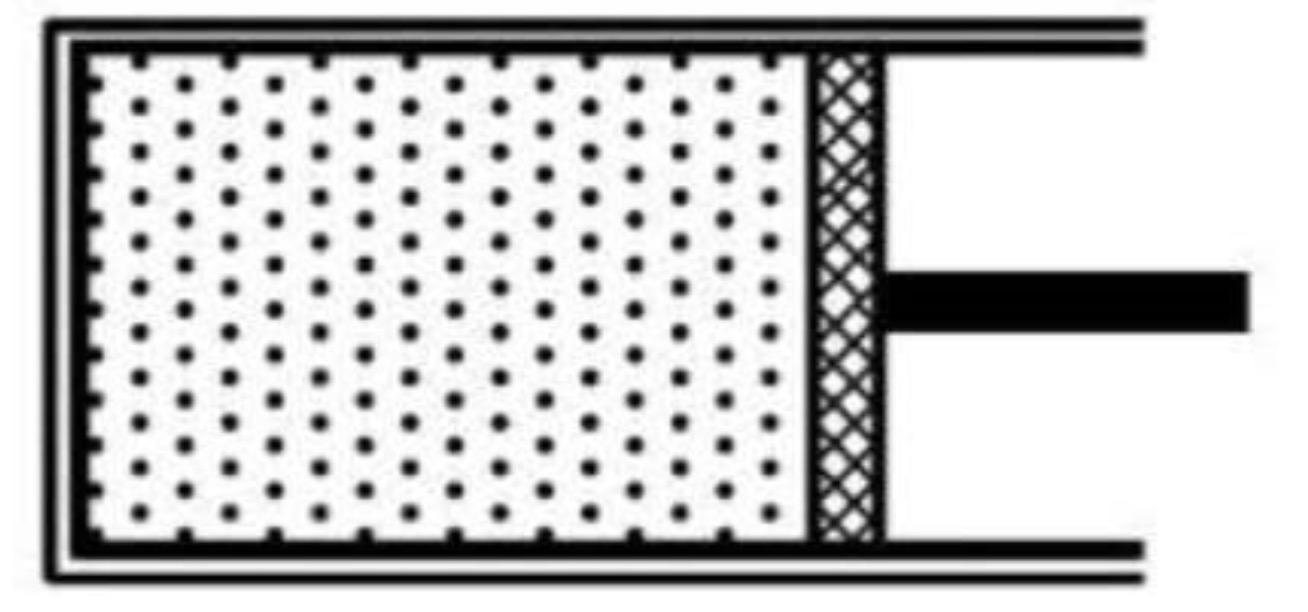 Hình câu 11