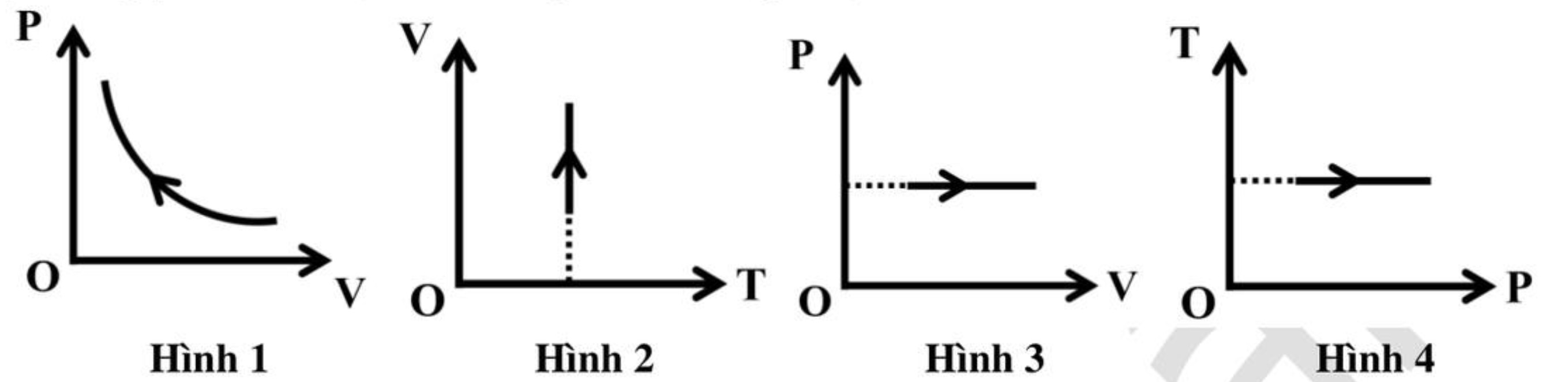 Hình câu 18