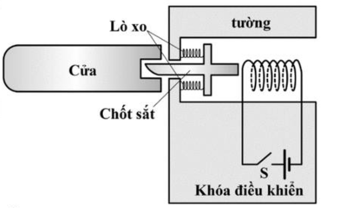 Hình câu 19
