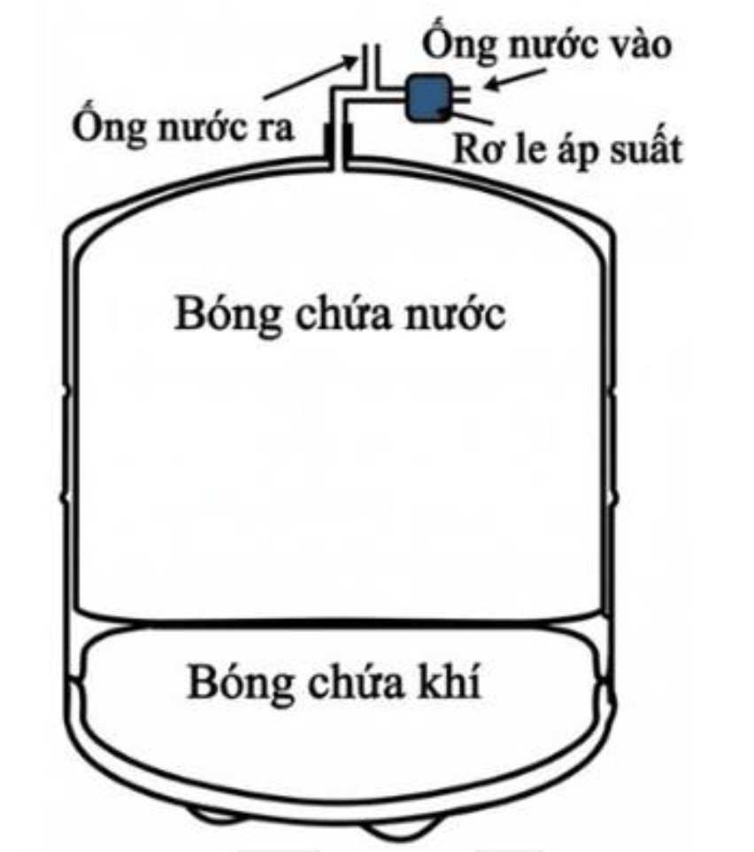 Hình câu 22