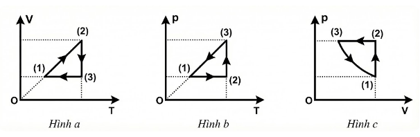 Hình câu 20
