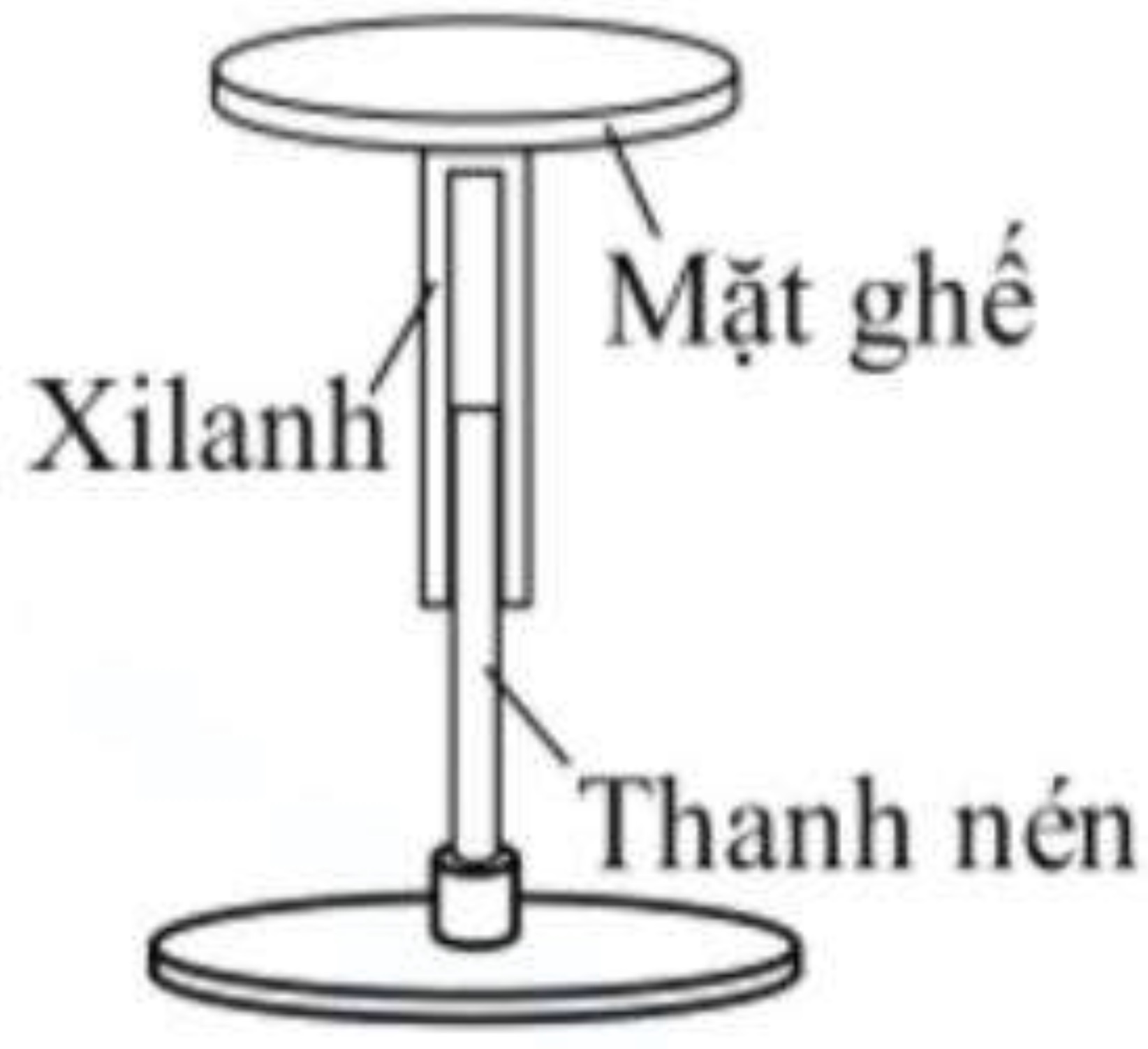 Hình câu 22