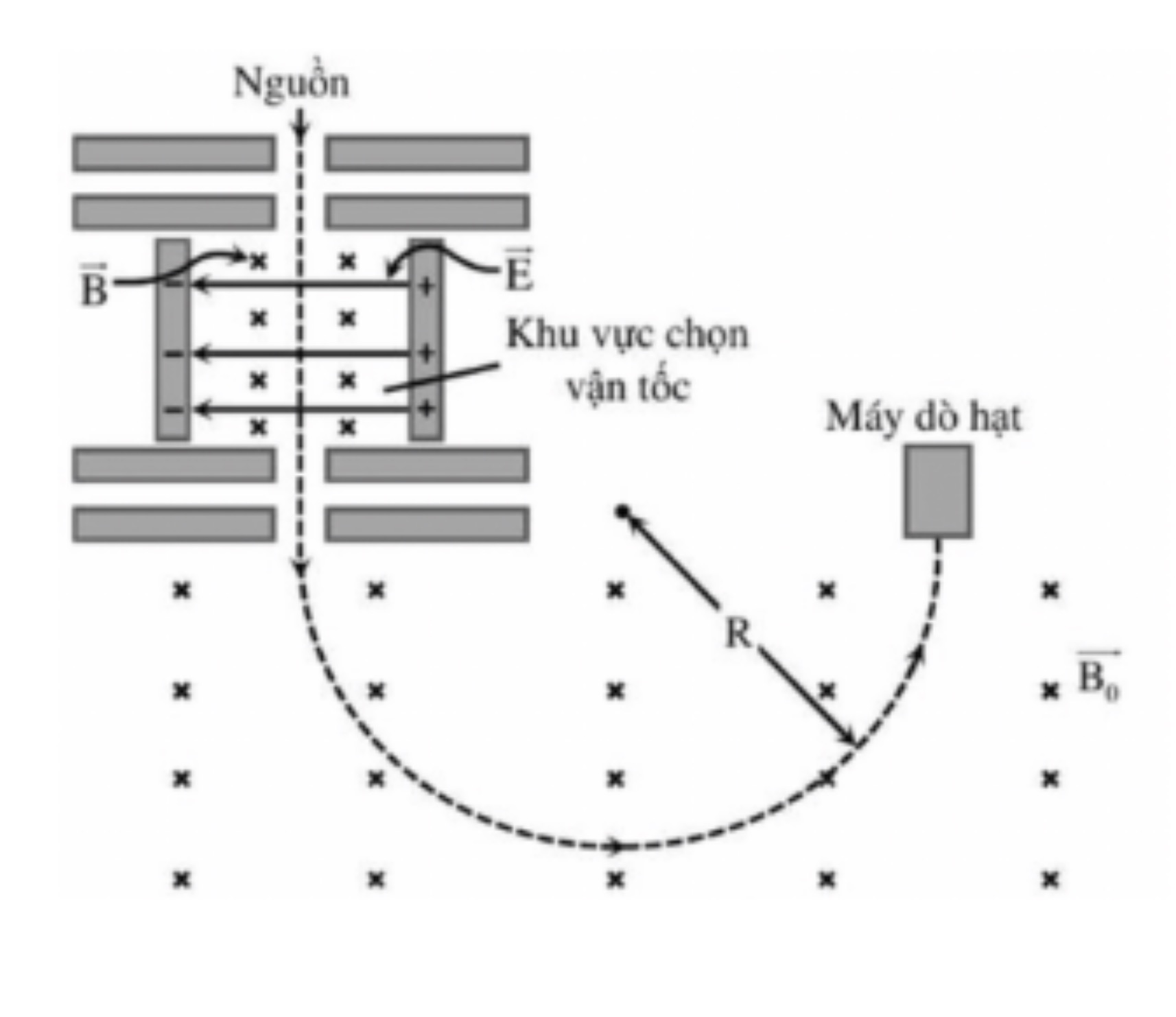 Hình câu 20