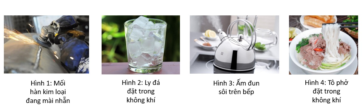 Hình câu 5